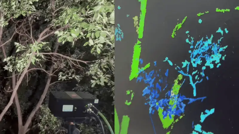 Outdoor tree color image and 3D point-cloud result